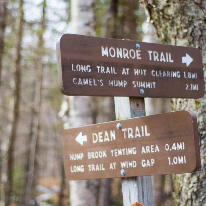 Near Camels Hump Via the Monroe Trail Near Camels Hump Via the Monroe Trail