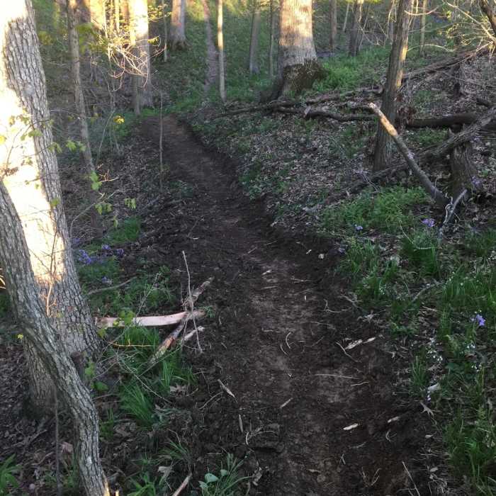 Rolling hills on Trail C. Near Trail B