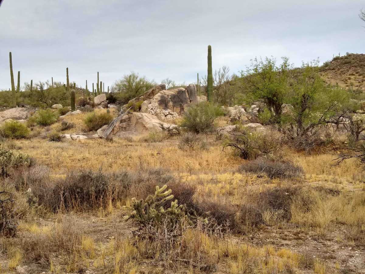 96 Hills Trail photo 5
