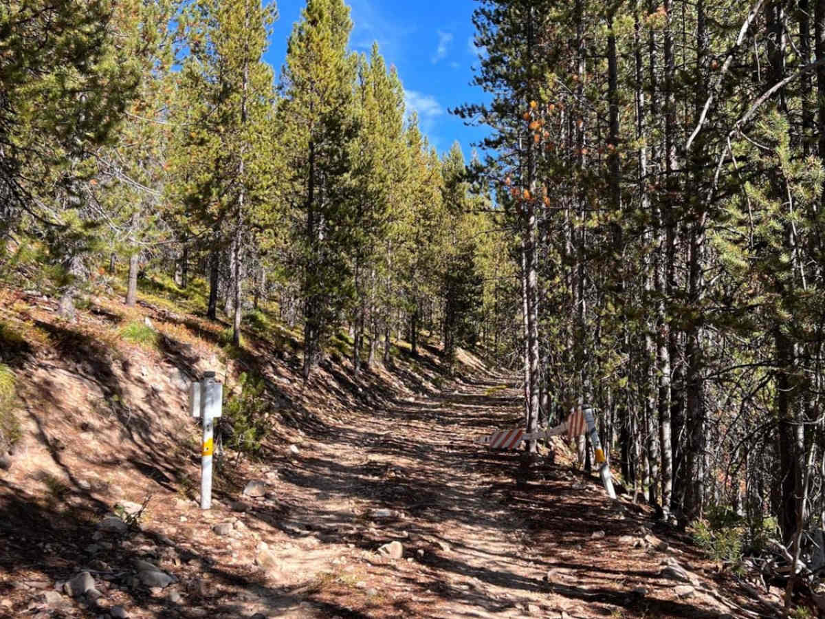 Black Bear Point photo 6