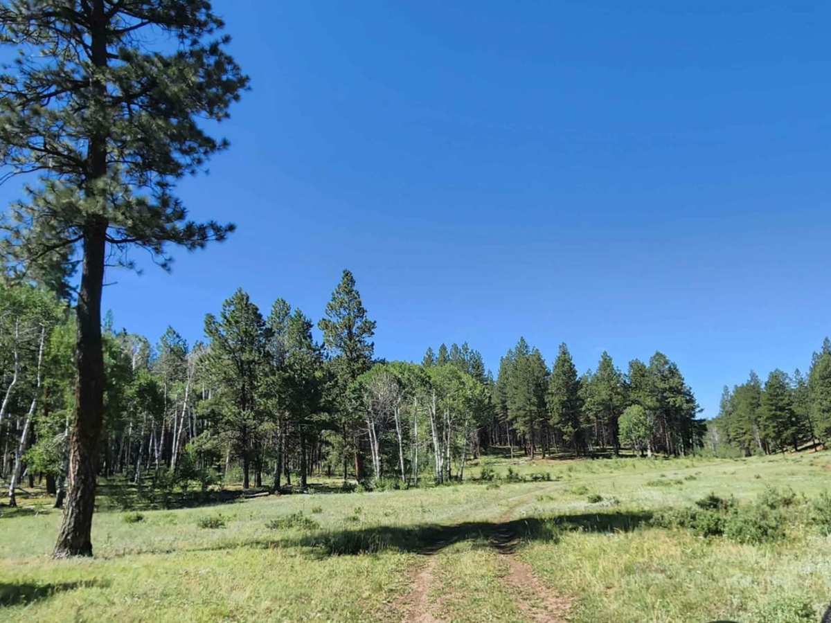 Beaver Point Road trail photo