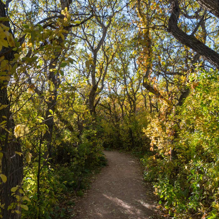 Near Bretag Trail and Upper Central Garden Loop