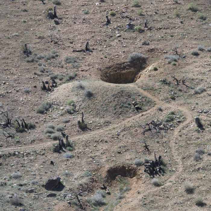 Near Lost Horse Mine Hike