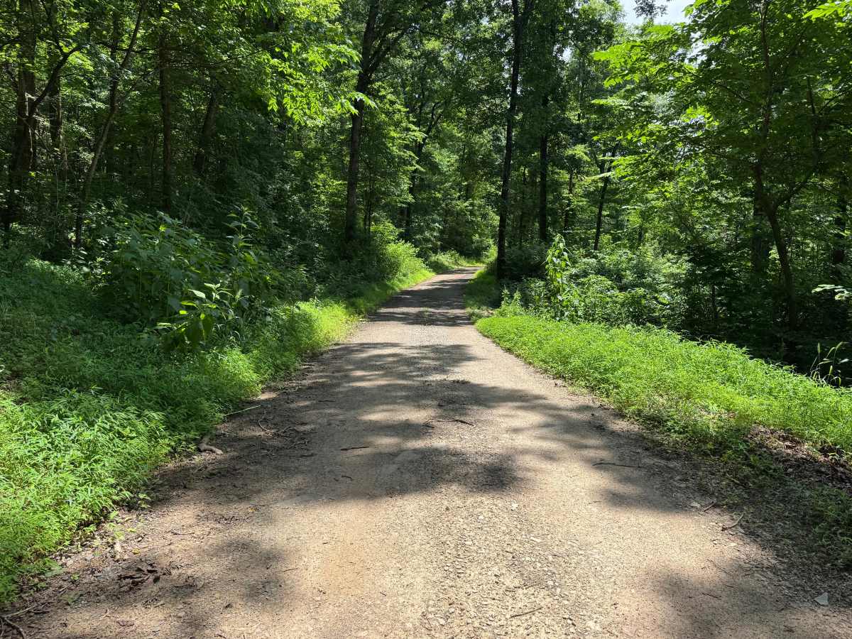 County Road 6291 photo 3