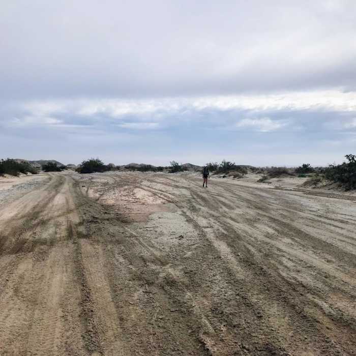 Near Arroyo Salado Loop