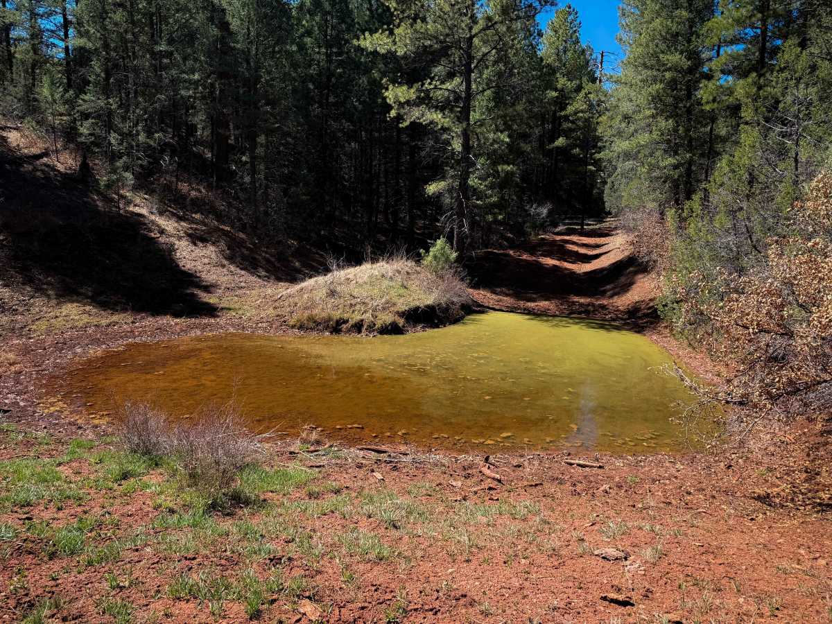 Corral photo 3