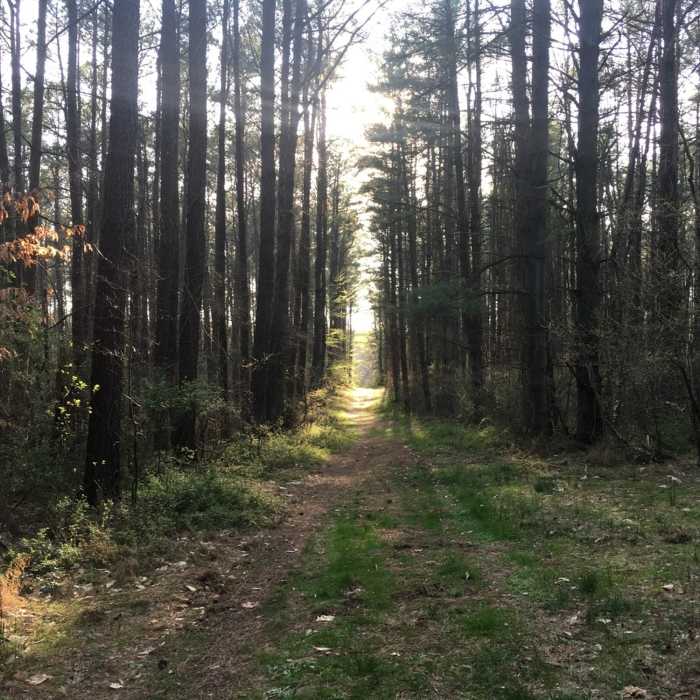 Near Deja Vu Shortcut