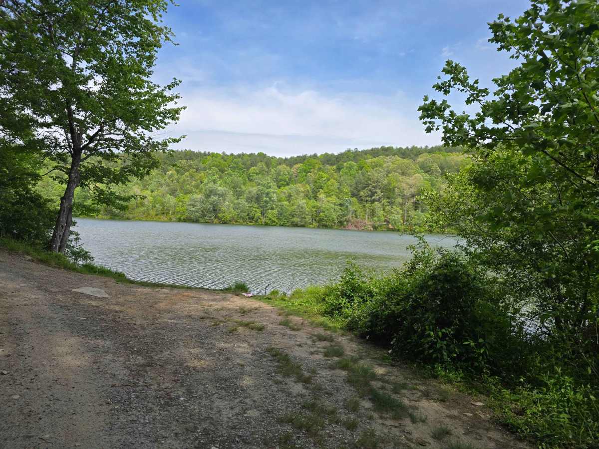 Persimmon Trail photo 6