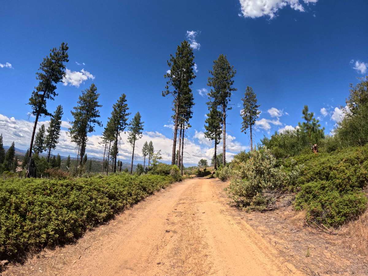 1S04A trail photo