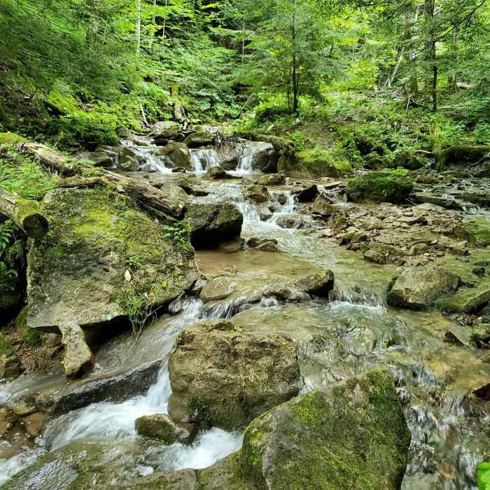 The titular pretty river. Near Pretty River Loop