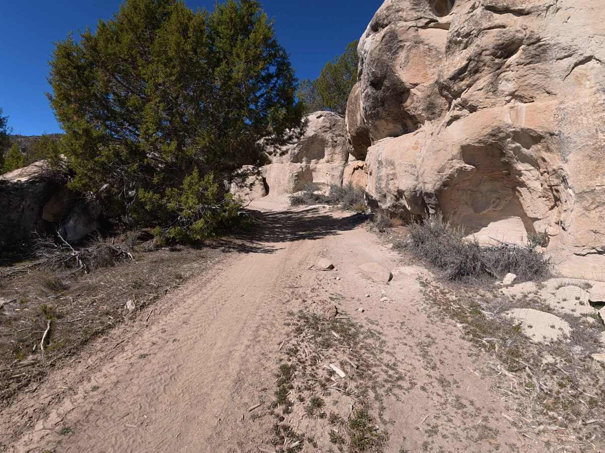 BLM 282 photo 2