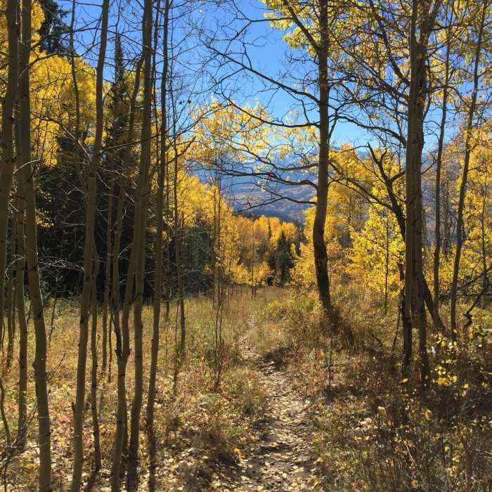 Near Acorn Creek Loop Route