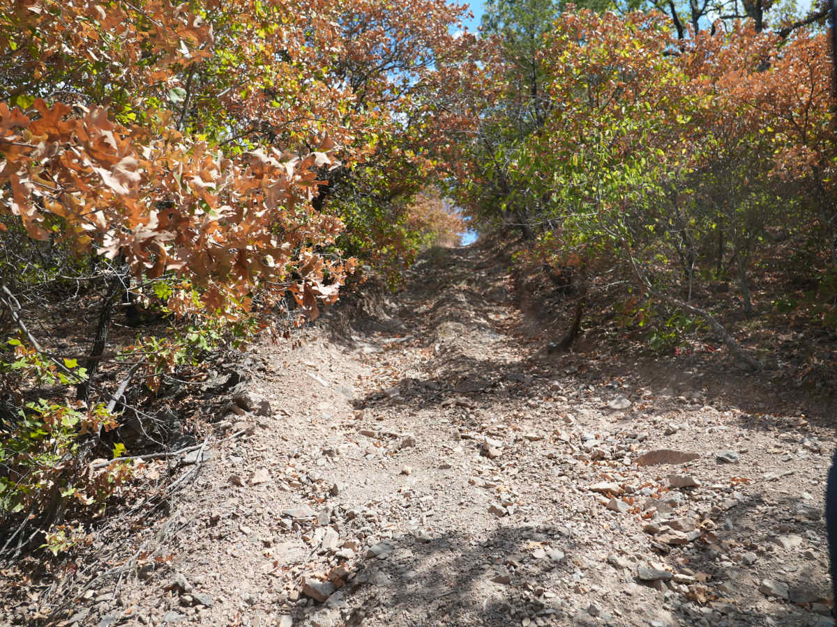 Black 31 trail photo