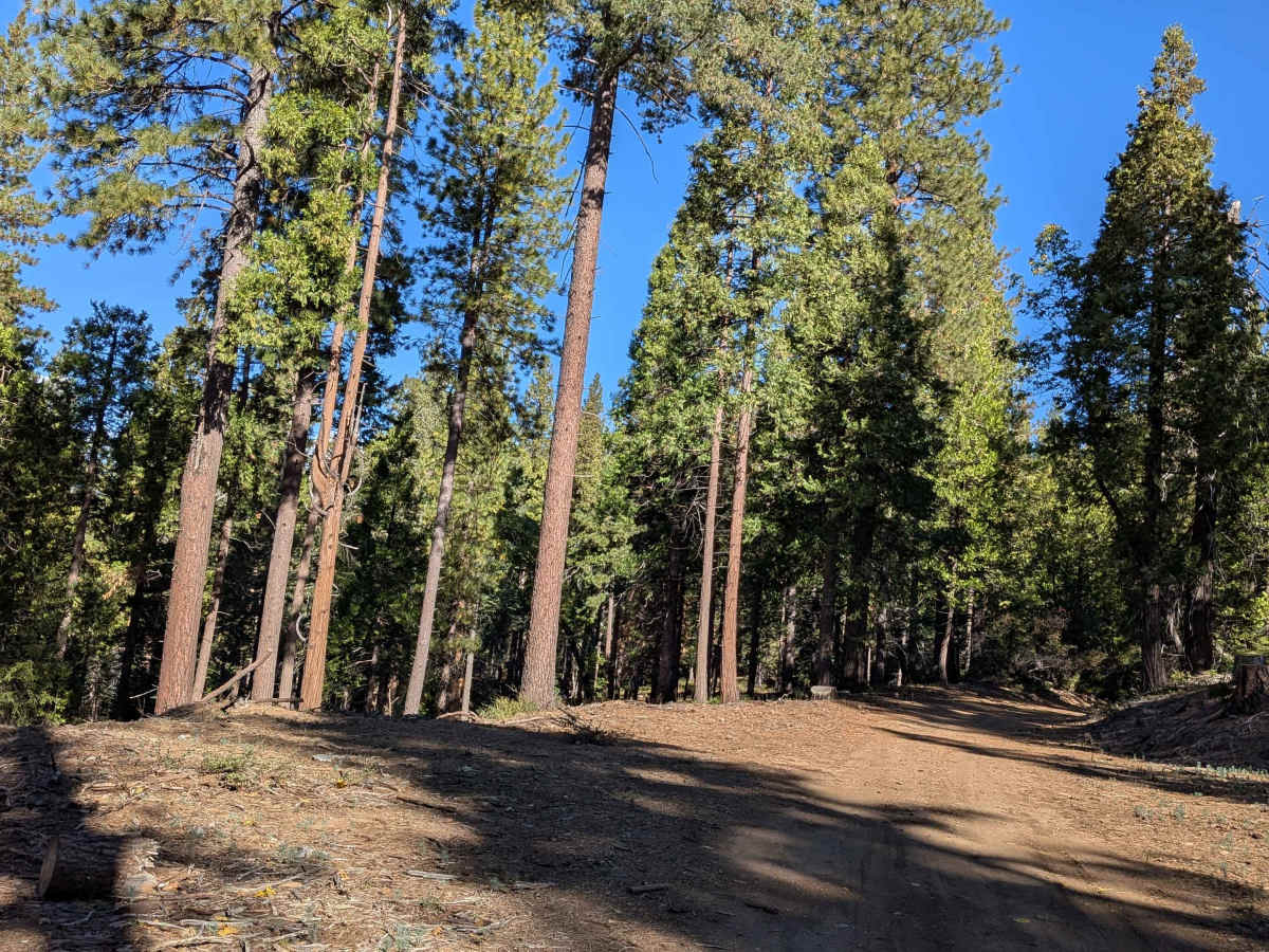Spring Gap Road - FS 4N14 photo 6