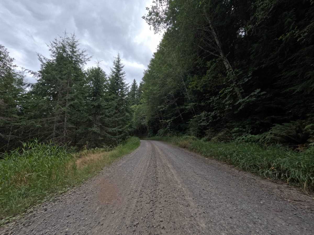 W-541AA trail photo