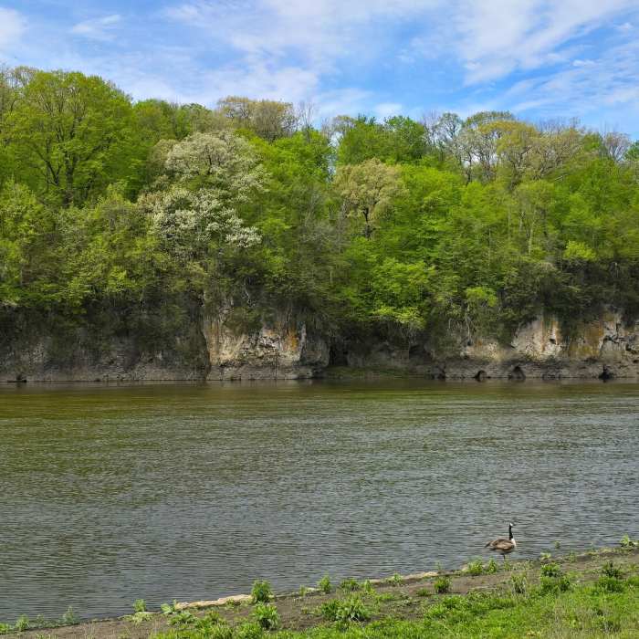 Palisades-Keplar Loop Near Palisades Loop