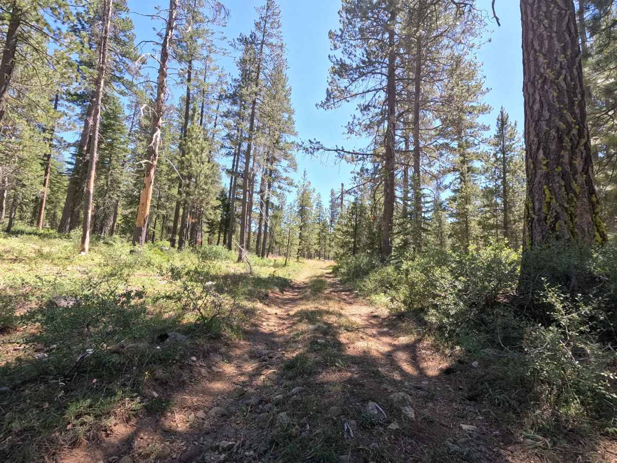 East Cabin Meadow Spur A - FS 41N04A photo 2