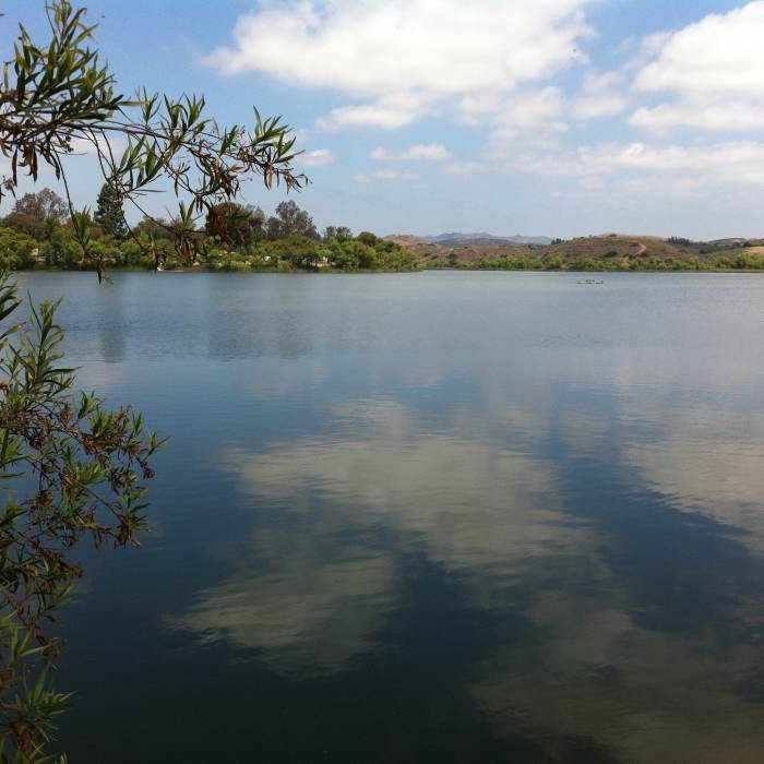 View from Lake O'Neill loop. Near Lake O'Neill Loop