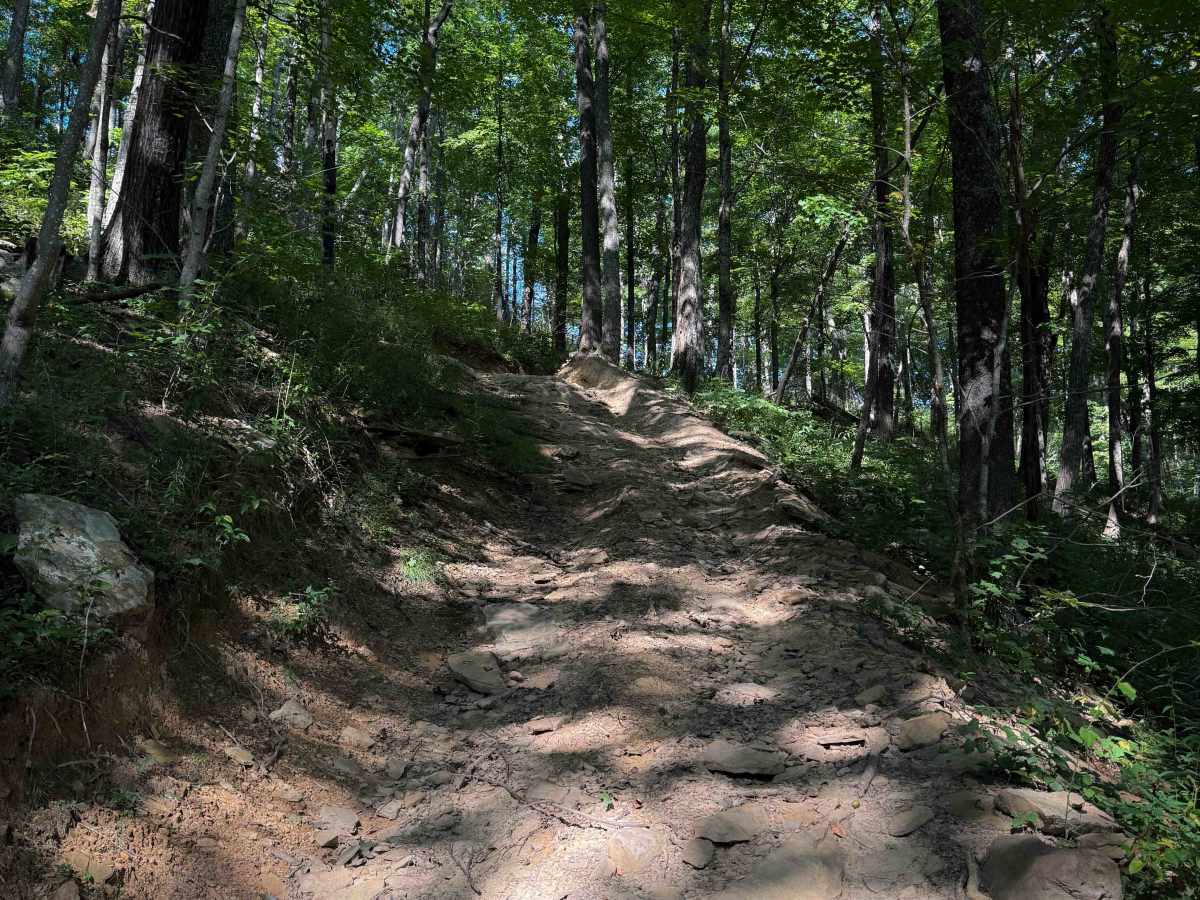 Standing Stone Ridge Trail 24  photo 5