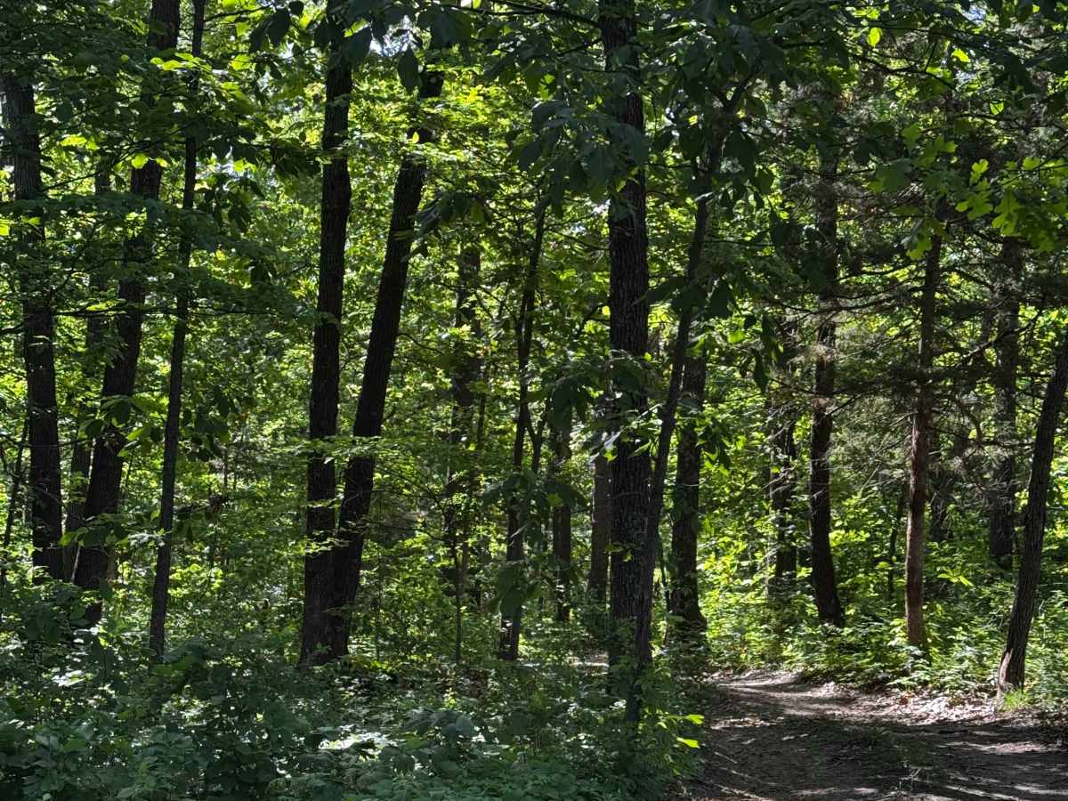 Inner Trail 8 photo 3