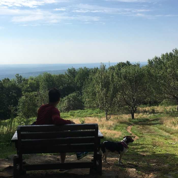 Near Wachusett Friendly Loop