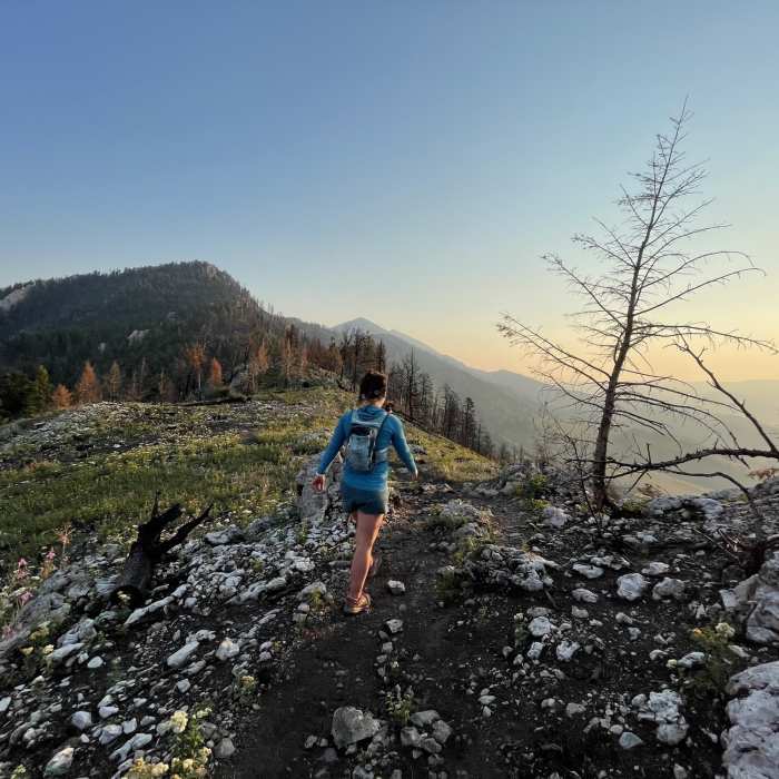 North bound heading toward Baldy Near Bridger Ridge Traverse 2.0 (M to Corbly)