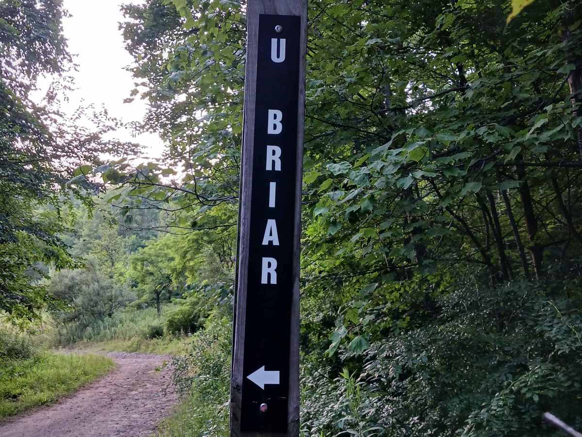 Upper Briar Path - Rock Run Recreation Area trail photo