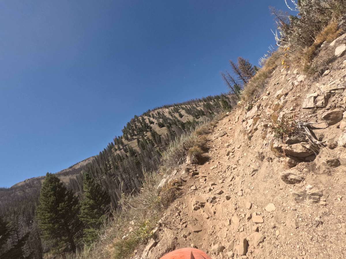 Johnson Creek - FS 7181 photo 4