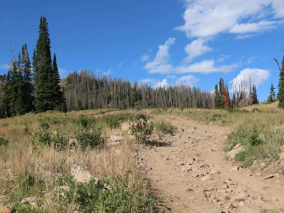 Moffit Pass - FS 80135 photo 2
