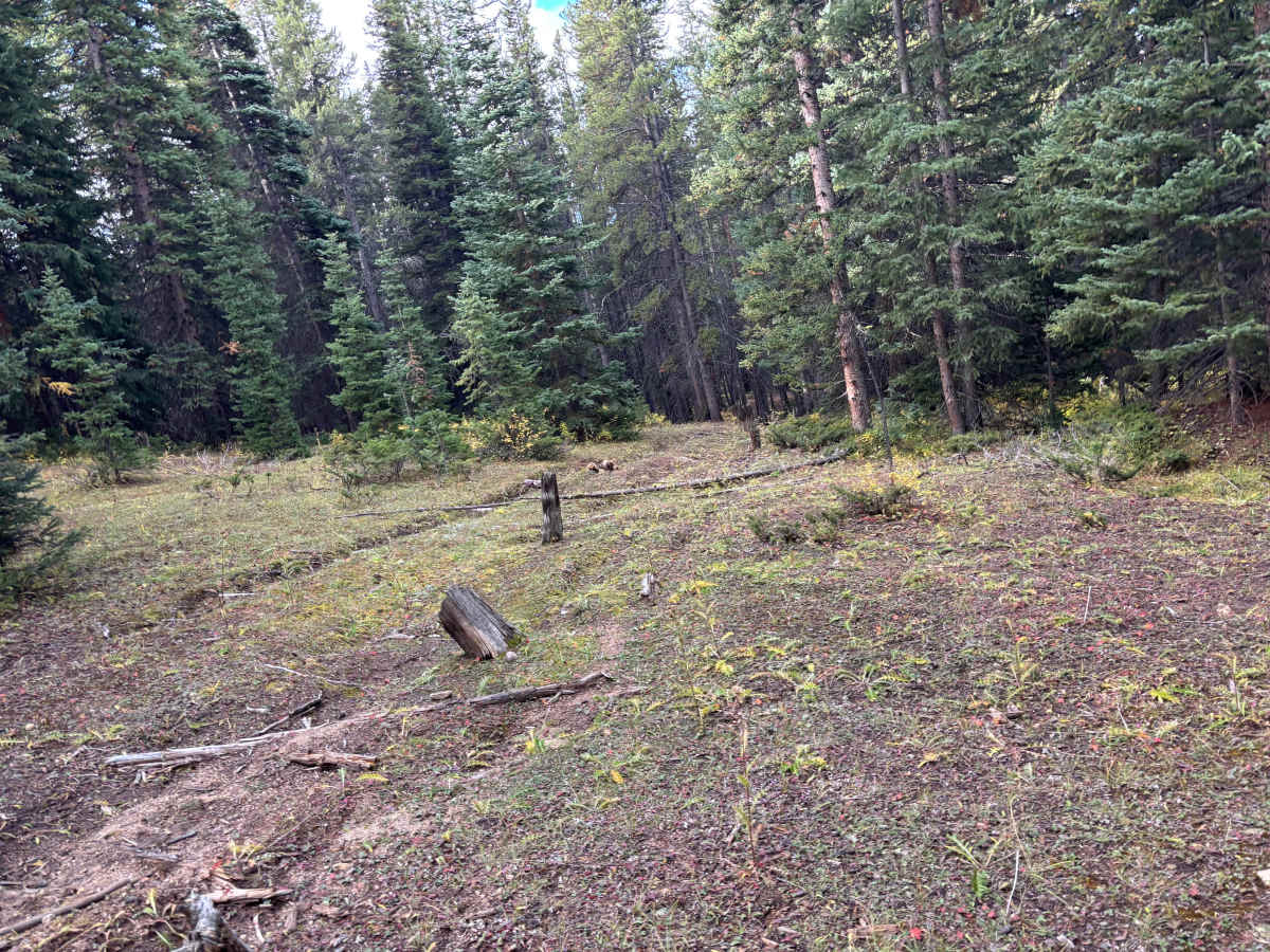 Fuller Trail photo 6