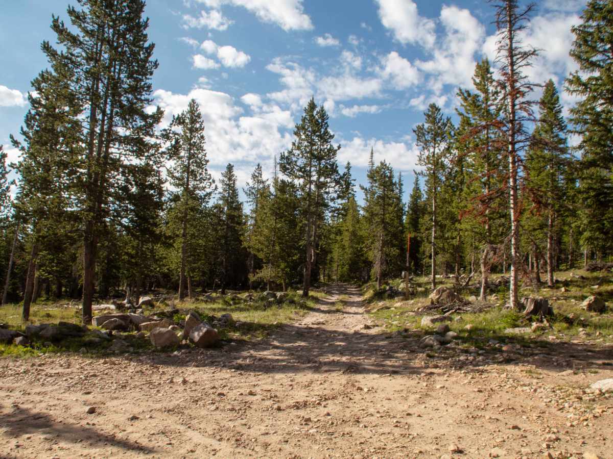 Slate Gorge - FS 80964 photo 4