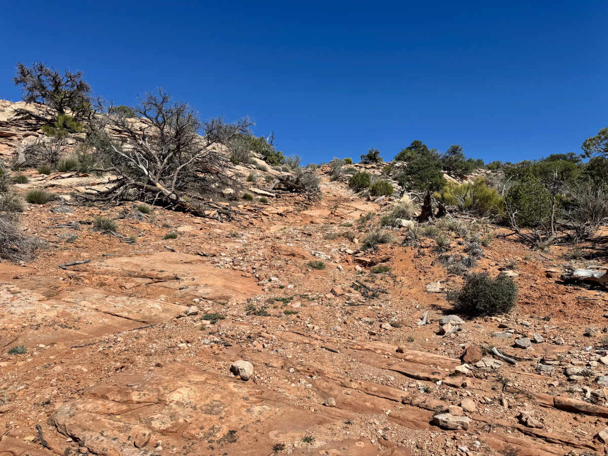 Richardson Overlook photo 6