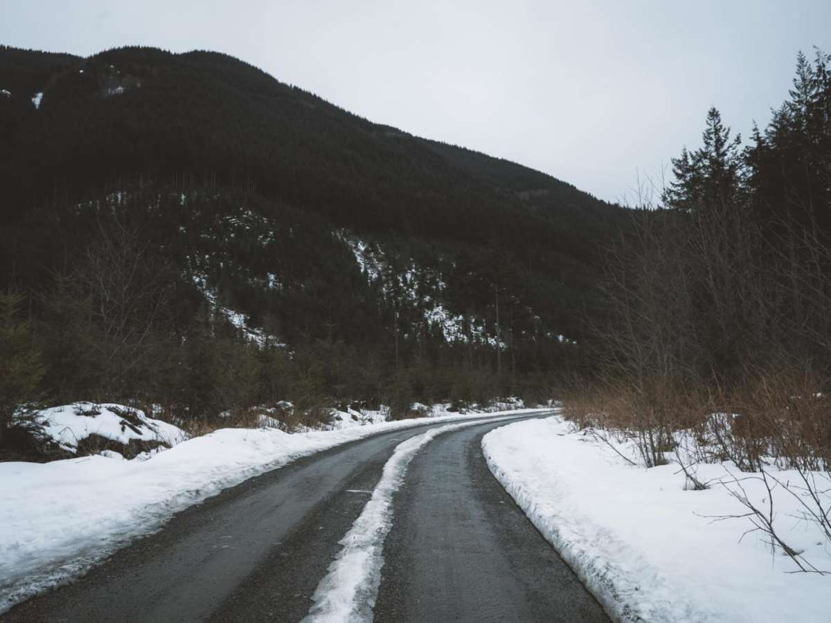 North Fork Road photo 6