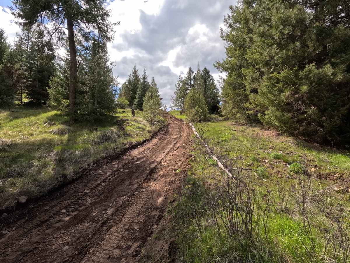 Trail G1 photo 5