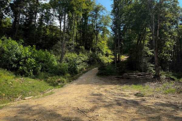 Shack Creek Trail