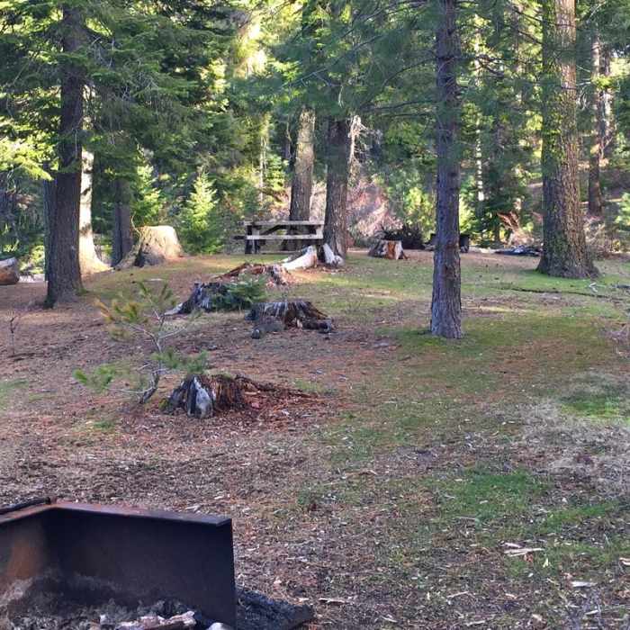 Near Suttle Lake Loop