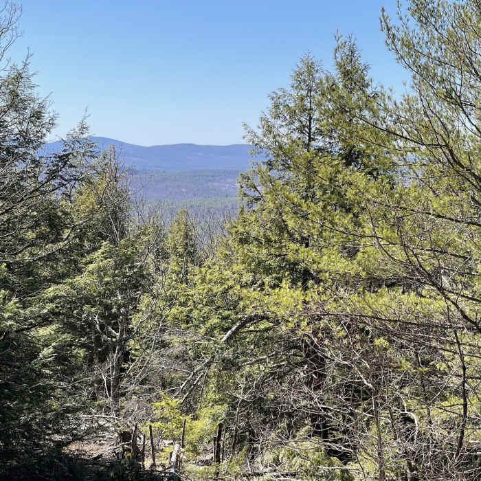 Near White Dot Trail