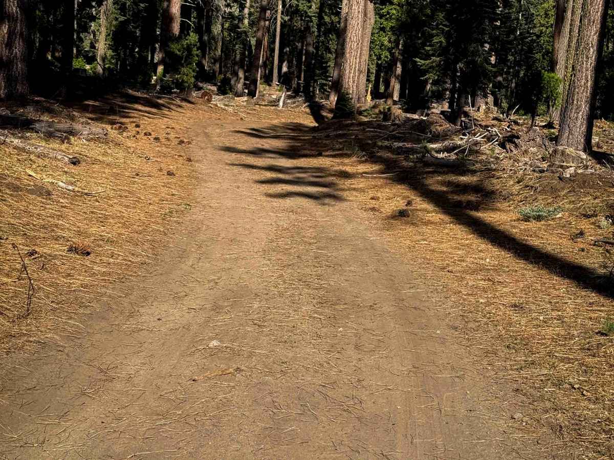 18EV459 photo 6