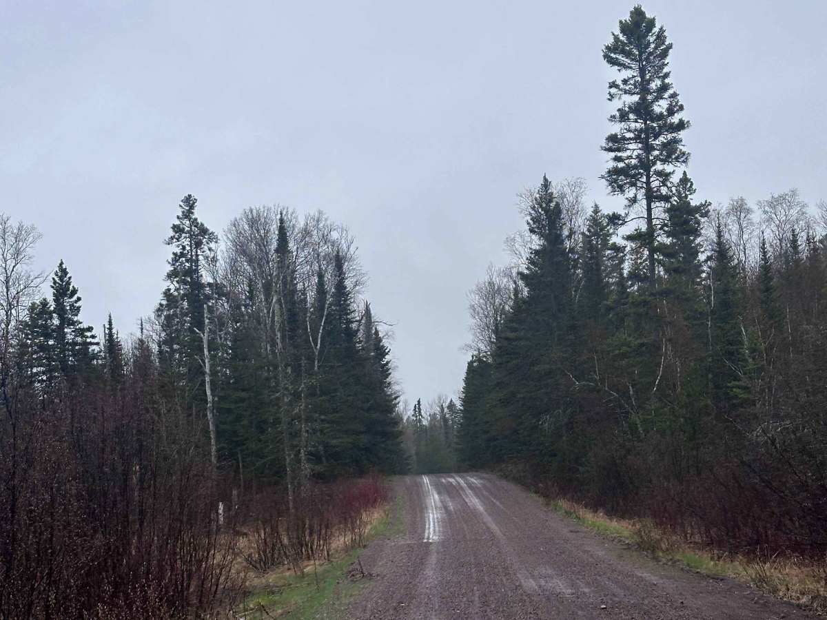 Pine Mountain Road photo 3