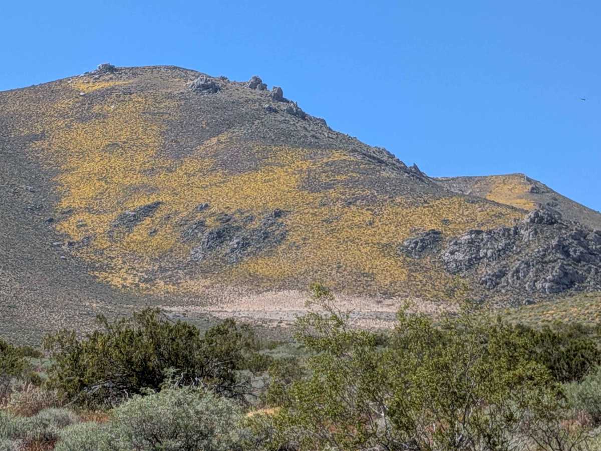 Aquaduct Service Road Grapevine Canyon - BLM LA2 photo 5