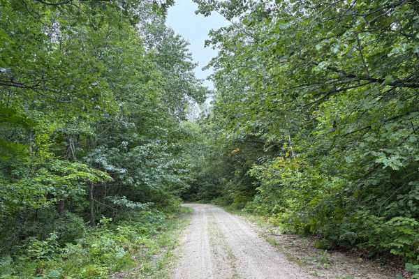 Otterkill Trail