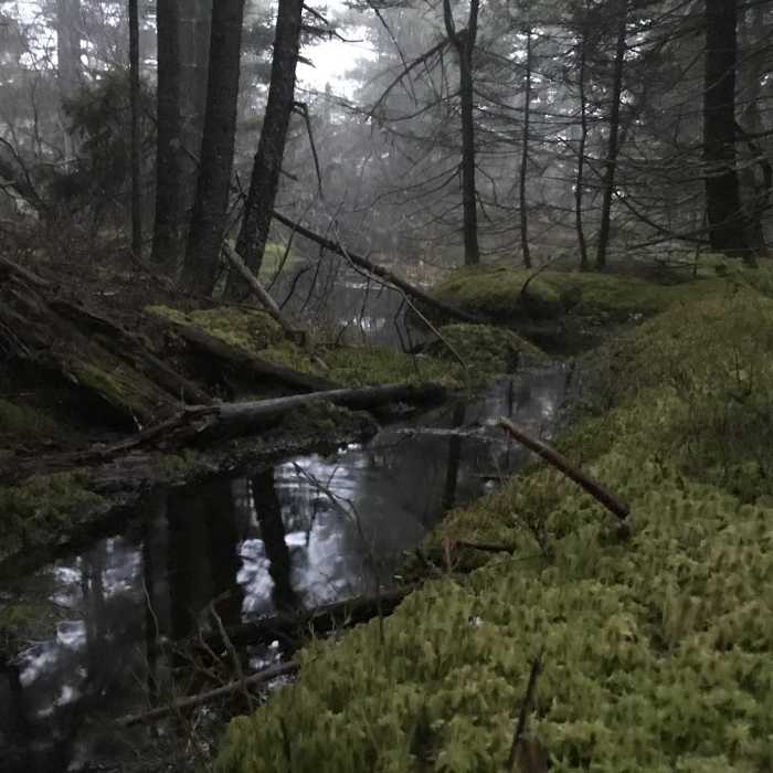 Near Sunapee-Ragged-Kearsarge Greenway:  Section 9