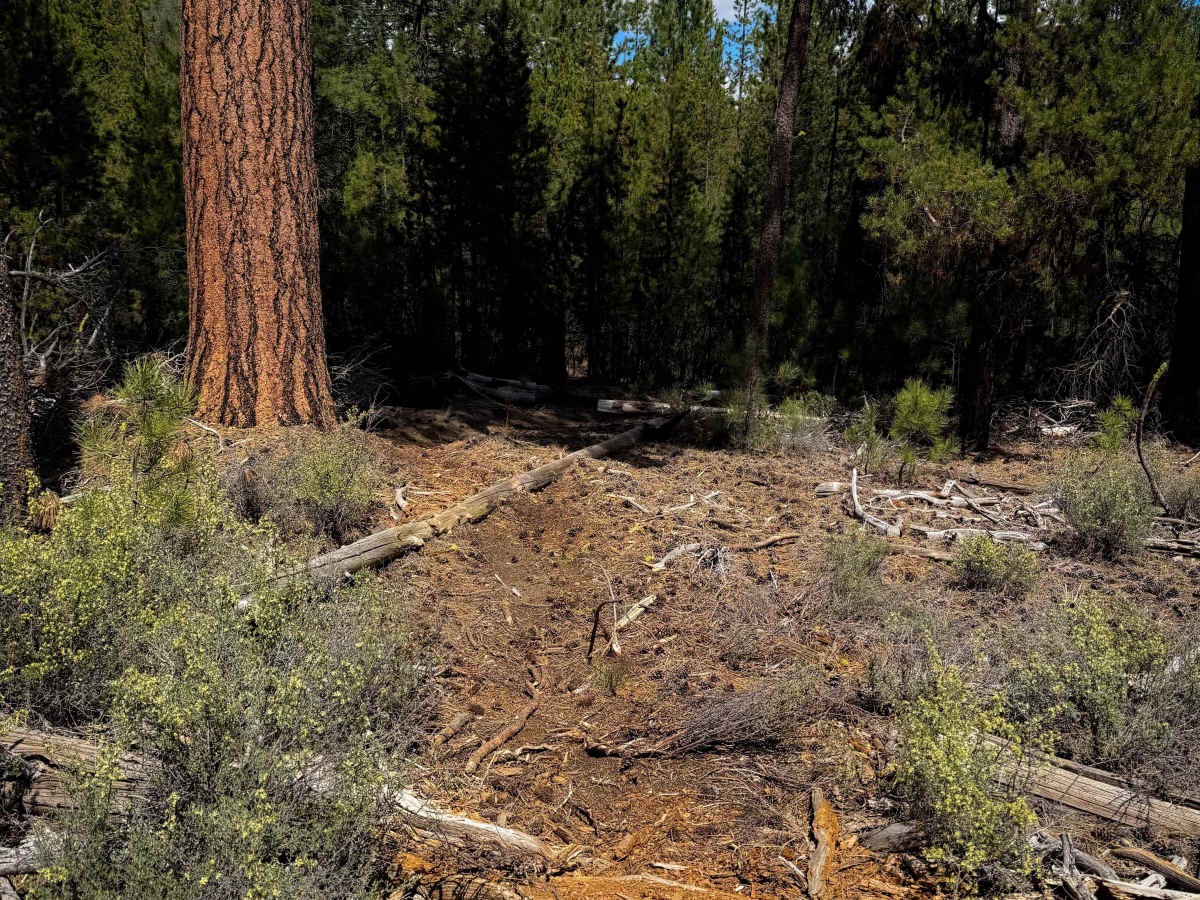 Trail 26  photo 4