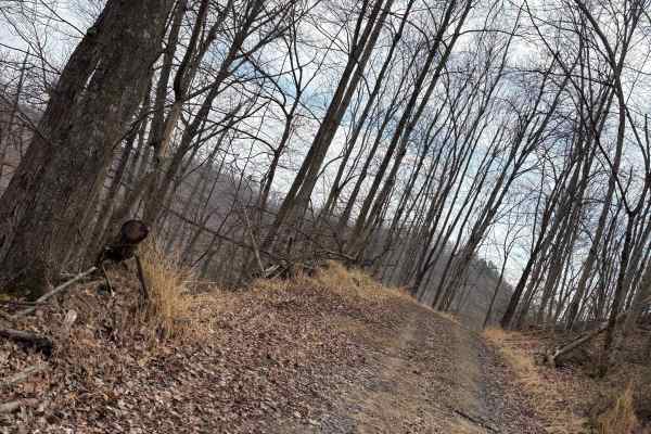 Trail 4
