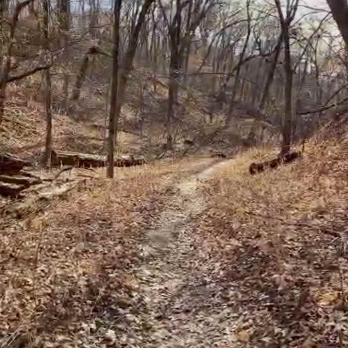 Near Chimneys
