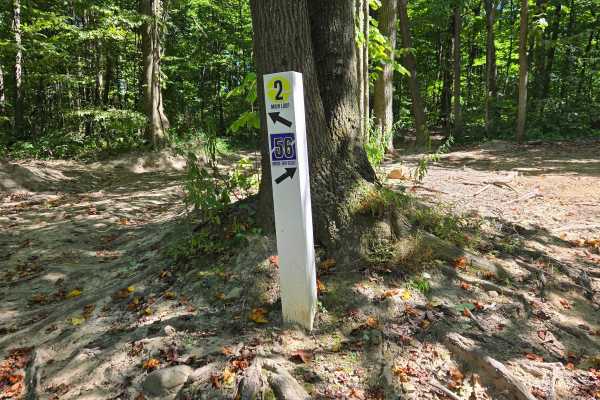 Trail 56