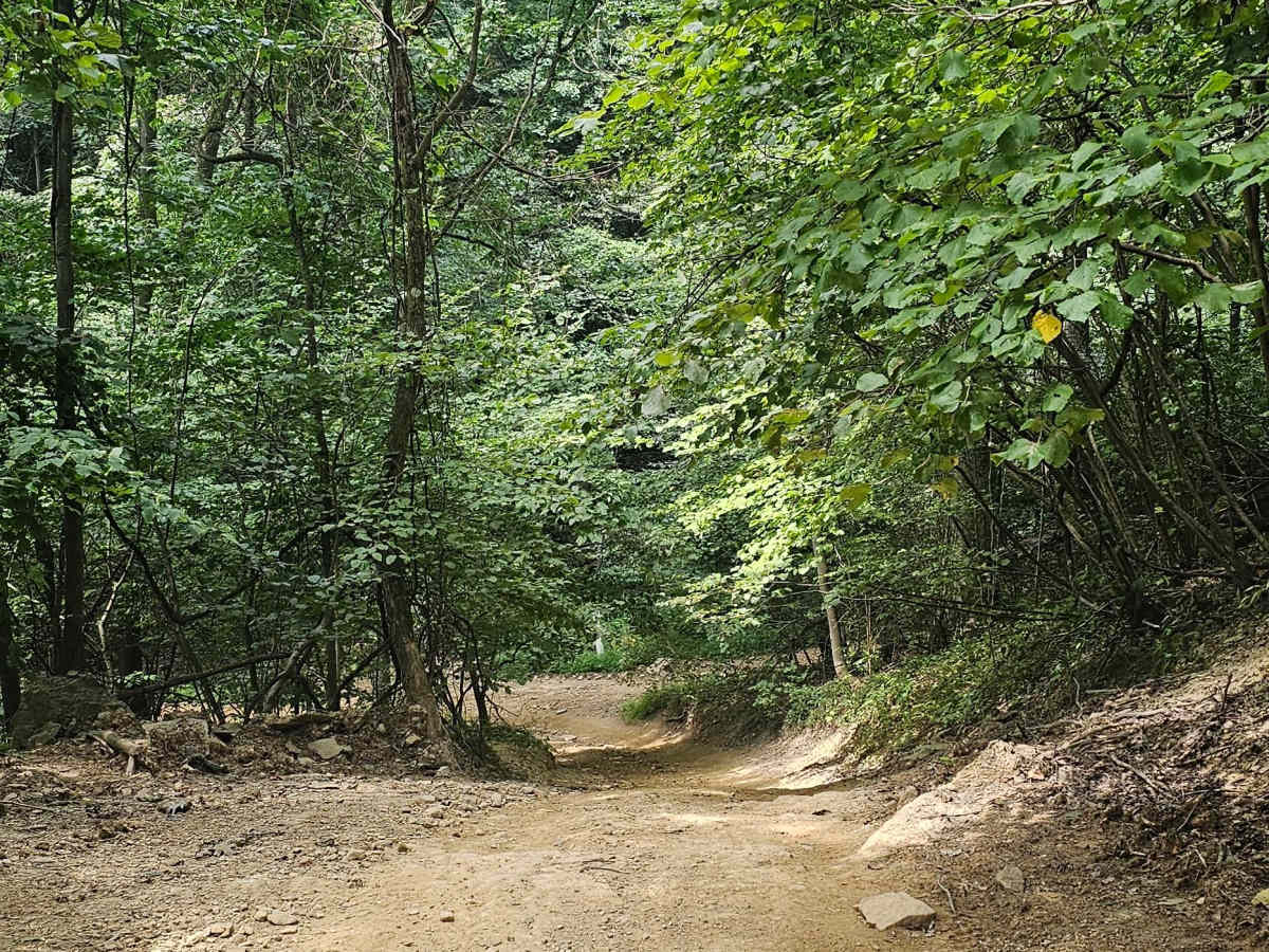 Trail 27 photo 4