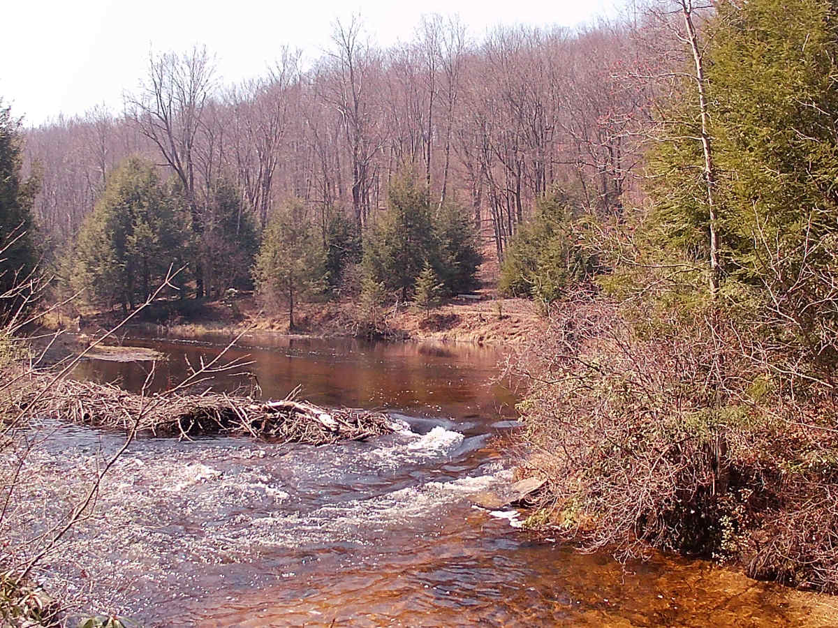 Huckleberry Road photo 4