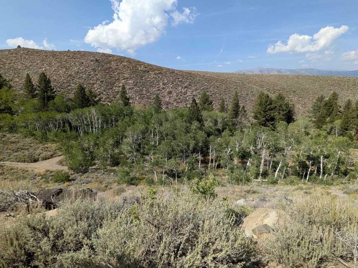 Old Green Creek Road photo 2