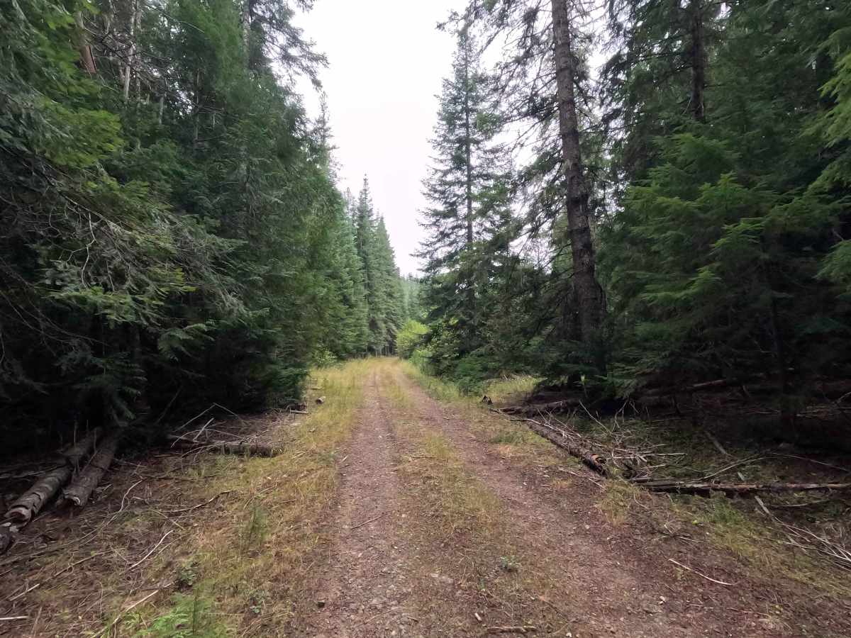 Flat Creek - FS 1095 photo 3